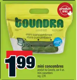Super C mini concombres | mini cucumbers offer