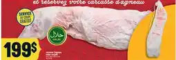 Marché Adonis CARCASSE D'AGNEAU ENTIER SURGELÉ | FROZEN WHOLE LAMB CARCASS offer