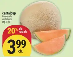 Marché Adonis CANTALOUP | CANTALOUPE offer