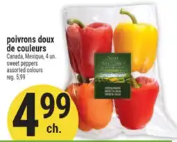 Marché Adonis POIVRONS DOUX DE COULEURS | SWEET PEPPERS offer
