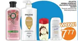 Brunet GILLETTE, HERBAL ESSENCES, OLD SPICE, PANTENE, SECRET offer
