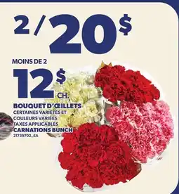 Provigo BOUQUET D'ŒILLETS offer