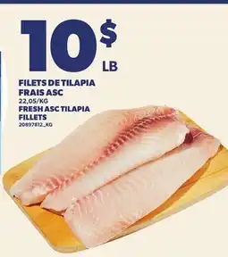 Provigo FILETS DE TILAPIA FRAIS ASC | FRESH ASC TILAPIA FILLETS offer