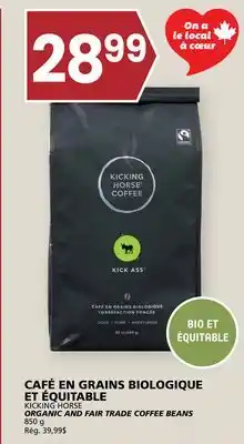 Rachelle-Bery Grocery KICKING HORSE ORGANIC AND FAIR TRADE COFFEE BEANS offer