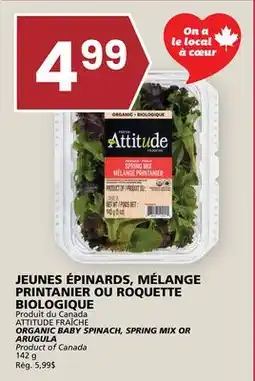 Rachelle-Bery Grocery ATTITUDE FRAÎCHE ORGANIC BABY SPINACH, SPRING MIX OR ARUGULA offer
