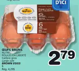 Marches Tradition NUTRI POULES EN LIBERTÉ BROWN EGGS offer