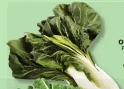 IGA BOK CHOY offer