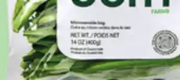 IGA FRENCH BEANS offer