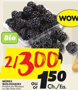 IGA ORGANIC BLACKBERRIES offer