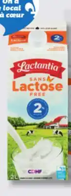IGA LACTANTIA LACTOSE-FREE MILK offer