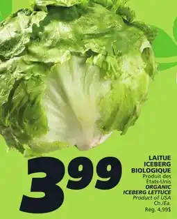 IGA ORGANIC ICEBERG LETTUCE offer