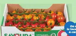 IGA TOMATRIO TOMATOES offer