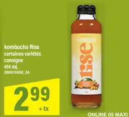 Maxi KOMBUCHA RISE offer