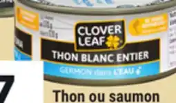 Giant Tiger Clover Leaf canned tuna offer