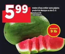 Maxi MELON D'EAU ENTIER SANS PÉPINS, 9 LB offer