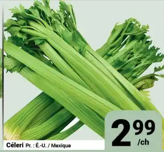 Pasquier Céleri offer