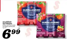 Marché Richelieu EAU PÉTILLANTE SAN PELLEGRINO | SAN PELLEGRINO SPARKLING WATER offer