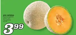 Marché Richelieu GROS CANTALOUP | LARGE CANTALOUPE offer