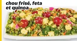 Metro SALADE | SALAD offer