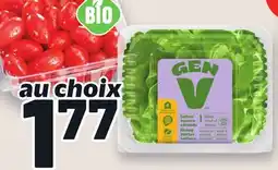 Metro LAITUE BOSTON DE SERRE VIVANTE GEN V | GEN V LIVING BUTTER LETTUCE offer