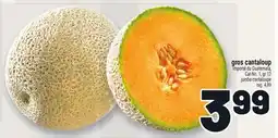 Metro GROS CANTALOUP | JUMBO CANTALOUPE offer
