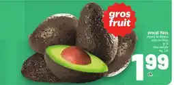 Metro AVOCAT HASS | HASS AVOCADO offer