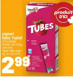 Metro YOGOURT TUBES YOPLAIT | YOPLAIT TUBES YOGURT offer