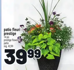 Metro PATIO FLEURI PRESTIGE | PRESTIGE FLOWERED PATIO offer