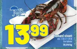 Metro HOMARD VIVANT | LIVE LOBSTER offer