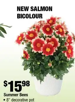 Home Depot summer bees 8 decorative pot offer