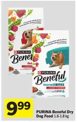 Foodland Beneful Dry Dog Food offer