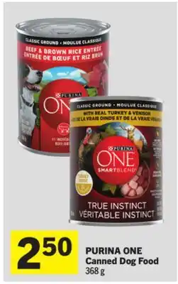 Foodland Canned Dog Food offer