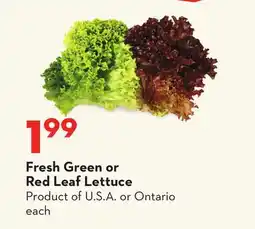 Longo's Fresh Green or Red Leaf Lettuce offer