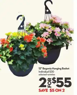 Longo's 12 Begonia Hanging Basket offer
