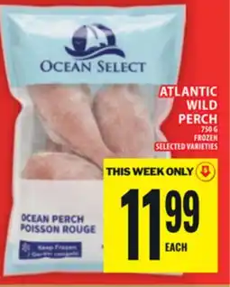 Food Basics ATLANTIC WILD PERCH offer