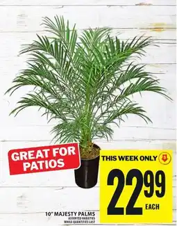 Food Basics 10 MAJESTY PALMS offer