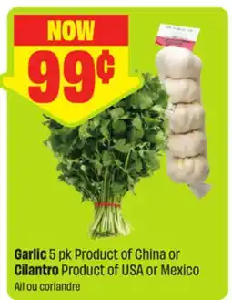 FreshCo Garlic 5 pk Product of China or Cilantro Product of USA or Mexico offer