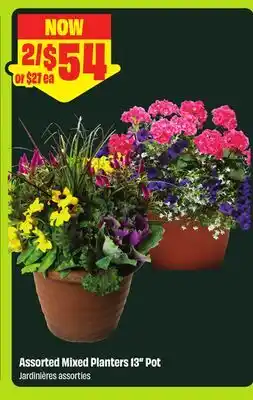 FreshCo Assorted Mixed Planters 13 Pot offer