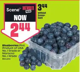 FreshCo Blueberries Pint Product of USA No. 1 Grade or Morocco No. 1 Grade offer