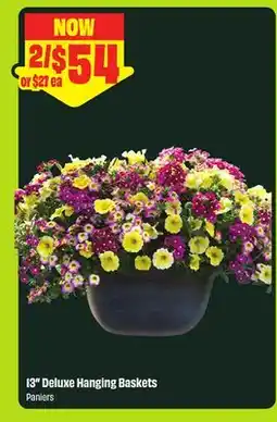 FreshCo 13 Deluxe Hanging Baskets offer