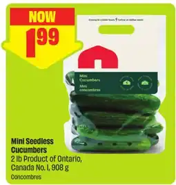 FreshCo Mini Seedless Cucumbers 2 lb Product of Ontario, Canada No. l offer