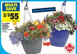 Real Canadian Superstore PC JUMBO ANNUAL HANGING BASKET, 12 INCH offer