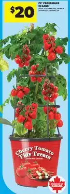 Real Canadian Superstore PC VEGETABLES IN CAGE, 10 INCH offer