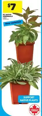 Real Canadian Superstore PC NATIVE PERENNIALS, 4 INCH offer