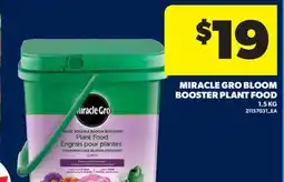 Real Canadian Superstore MIRACLE GRO BLOOM BOOSTER PLANT FOOD offer