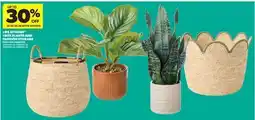 Real Canadian Superstore LIFE AT HOME FAUX PLANTS AND FASHION STORAGE offer