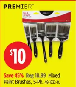 Canadian Tire PREMIER Mixed Paint Brushes, 5-Pk offer
