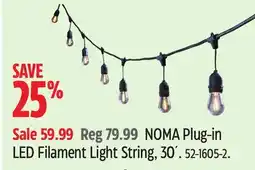 Canadian Tire NOMA Plug-in LED Filament Light String offer