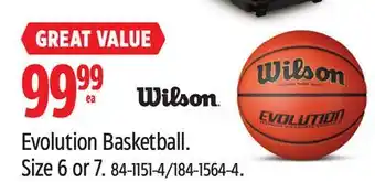 Canadian Tire WILSON Evolution Basketball offer