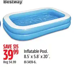 Canadian Tire Inflatable Pool offer